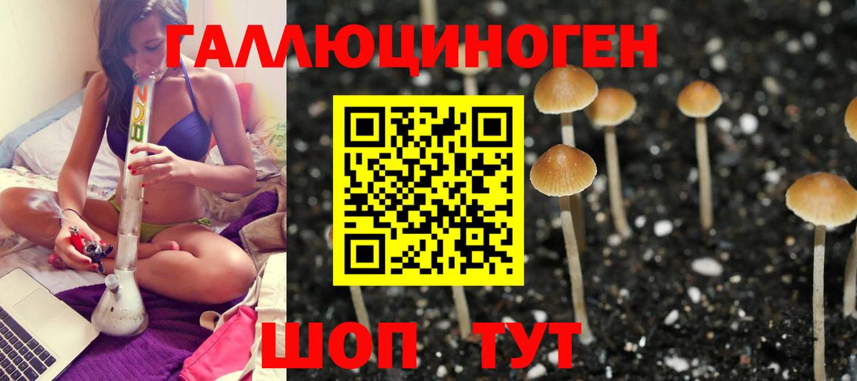 Галлюциногенные грибы Psilocybine cubensis  Галлюциногенные грибы Psilocybine cubensis  Вход с VPN  Печора 
